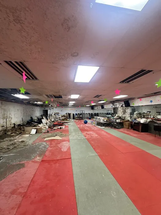 BlueRed Restoration LLC Picture 3