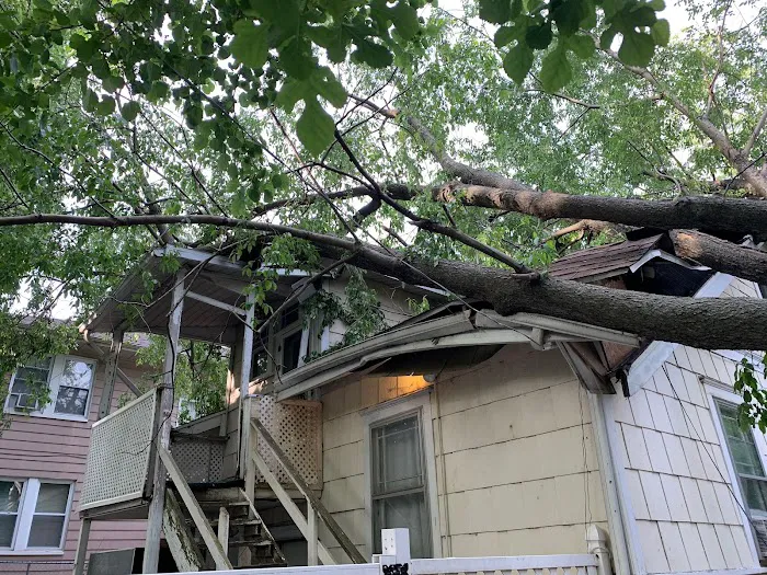 BluSky Restoration Contractors Picture 10