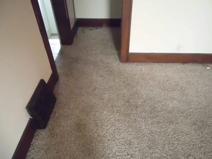 Ionic Fresh Picture 9