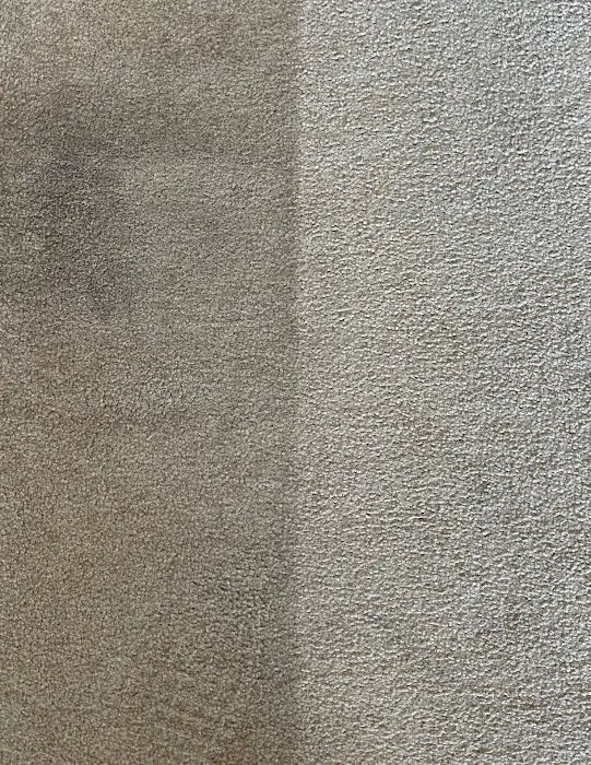 MasterCare Inc Picture 8