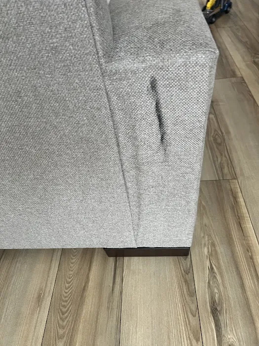 Stanley Steemer Picture 4