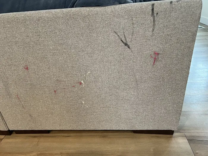 Stanley Steemer Picture 5