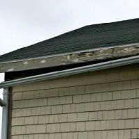 A&M Home Services ico