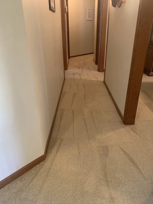 White House Cleaning and Restoration Picture 2