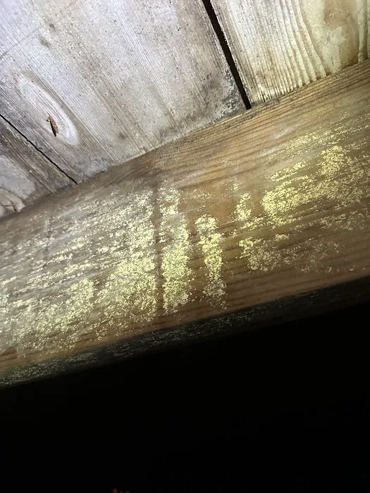 Mold Warrior Picture 4