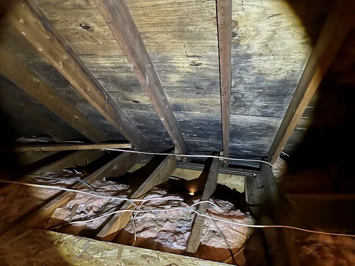 Mold Warrior Picture 6