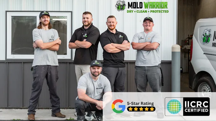 Mold Warrior Picture 10