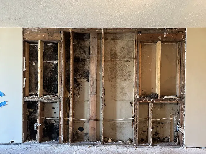 Mold Warrior Picture 1