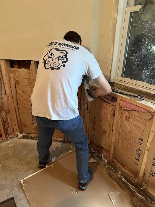 Mold Warrior Picture 7