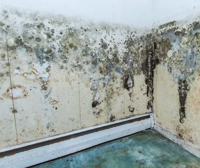 Kent Kleen LLC Picture 5