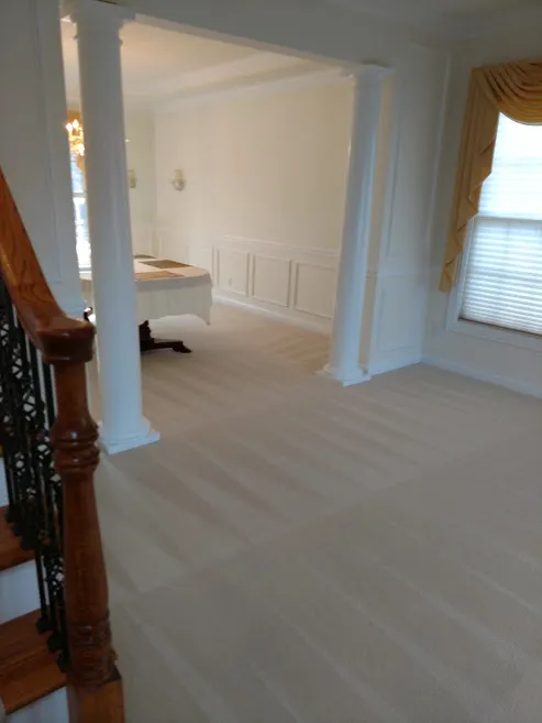 Mr. Clean's Cleaning and Restoration Picture 5