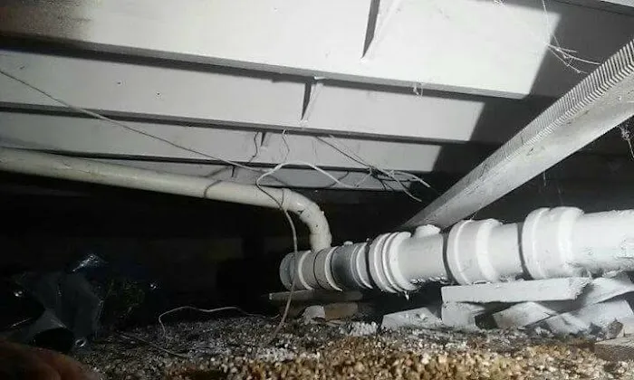 Neptune Plumbing & Sewer Picture 2