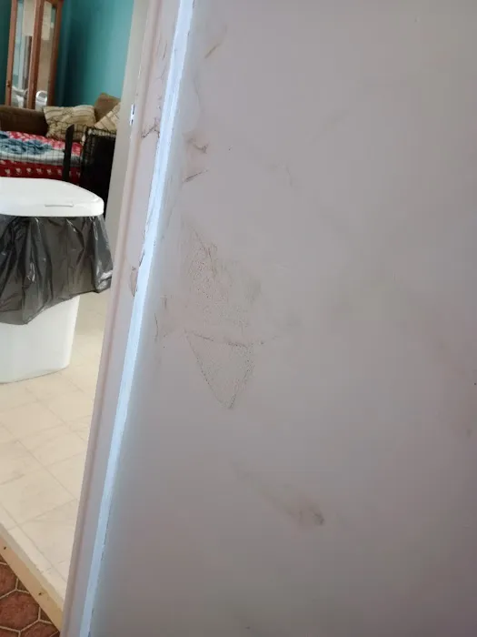 Roto-Rooter Plumbing, Drain, and Water Cleanup Picture 7