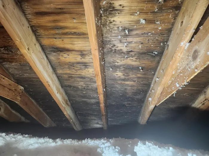 Paramount Home Restorations Picture 6