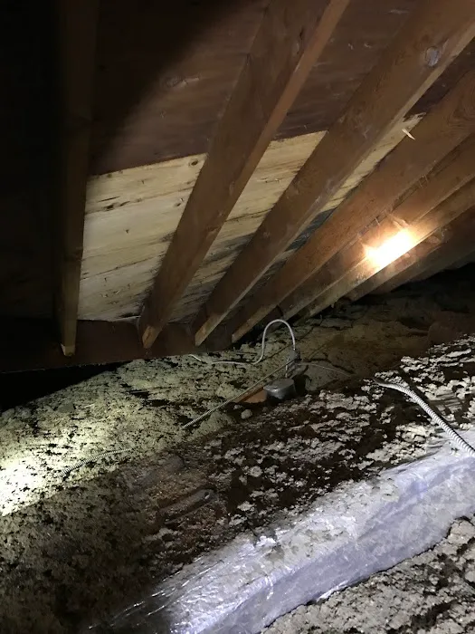 DCS Cleaning Service Picture 10