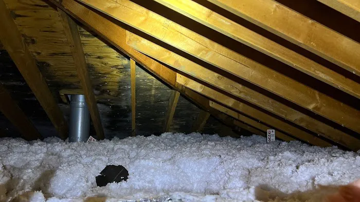 Restoration 1 of Chicago North Shore Picture 4