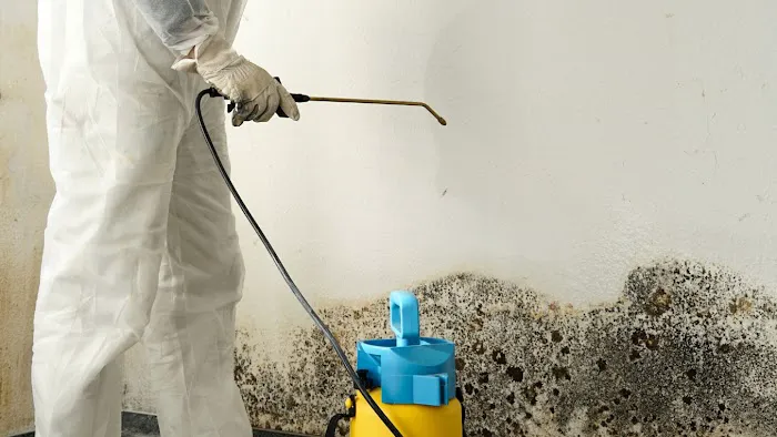 Restoration 1 of Chicago North Shore Picture 3