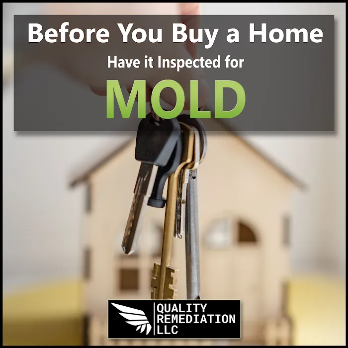 Quality Mold Remediation Picture 10