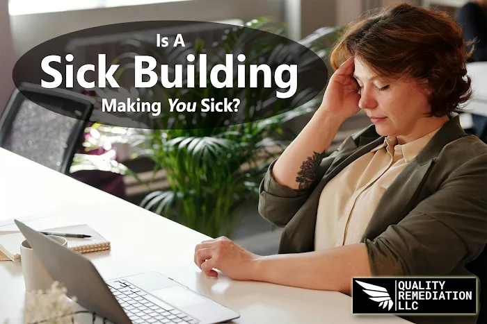 Quality Mold Remediation Picture 5