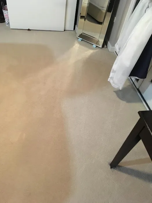 Techniclean Cleaning & Restoration Picture 5