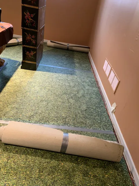 Green Clean Picture 3