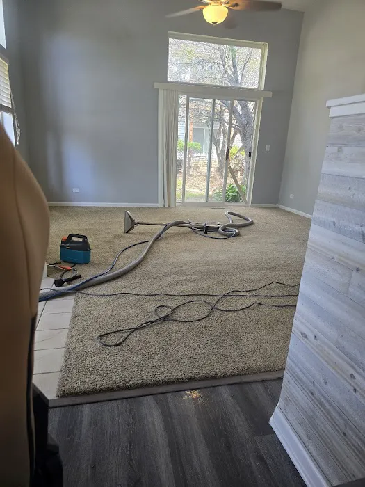 Green Clean Picture 9