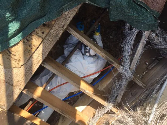 Restoration 1 of Cary Picture 7