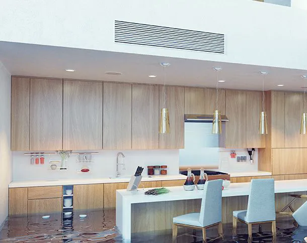 Restoration 1 of Cary Picture 6