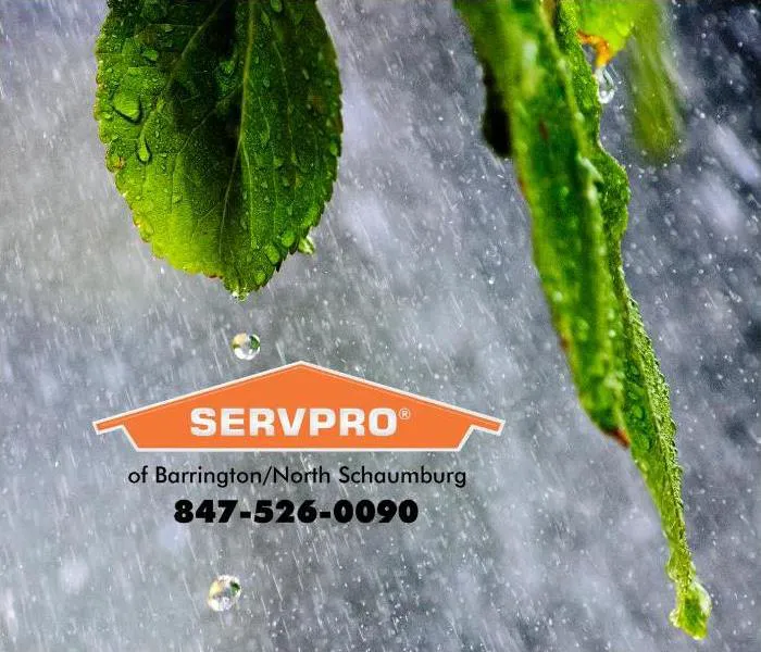 SERVPRO of Barrington/North Schaumburg Picture 3