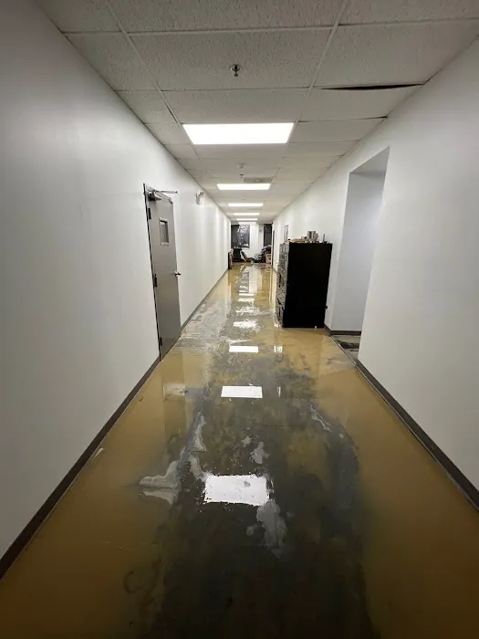 Nu-Gen Cleaning & Restoration Picture 2