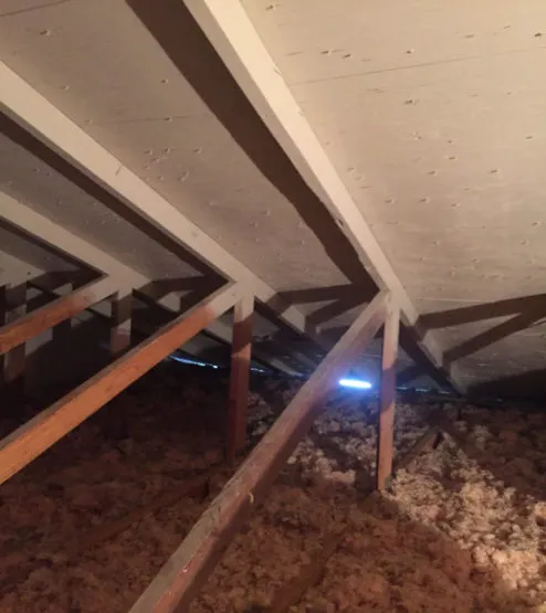 Alliance, Inc. Picture 2