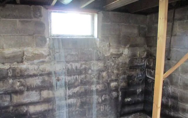 Forte Waterproofing Picture 6