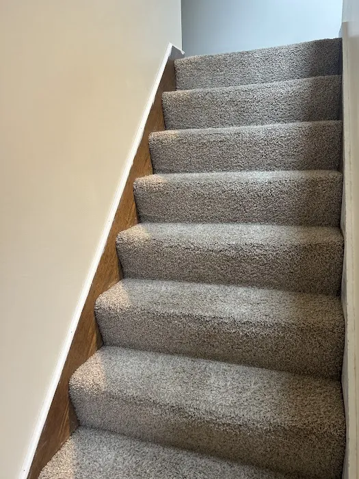 Stanley Steemer Picture 3