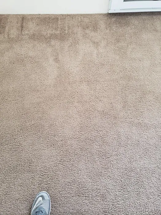 Blough's Carpet Cleaning and Restoration Picture 5