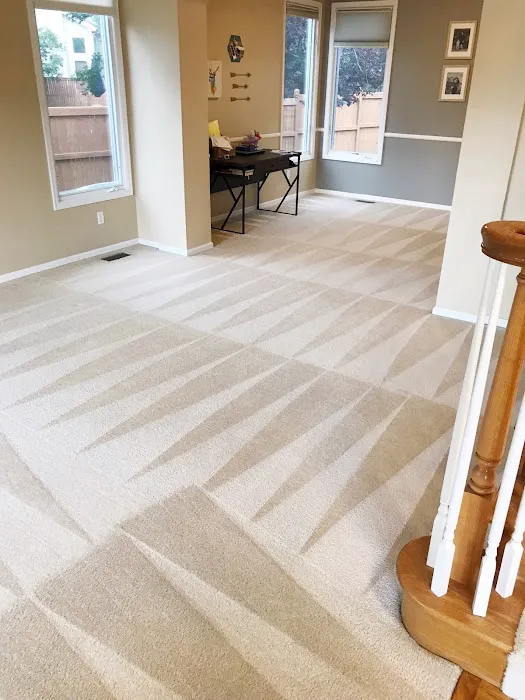 Blough's Carpet Cleaning and Restoration Picture 8