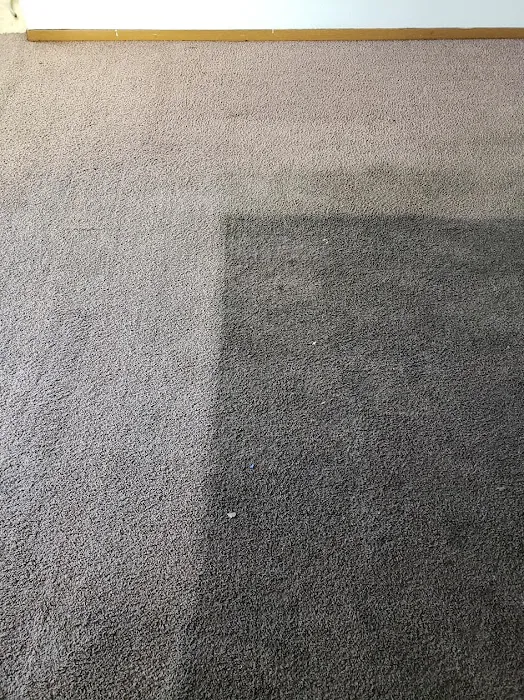 Blough's Carpet Cleaning and Restoration Picture 6