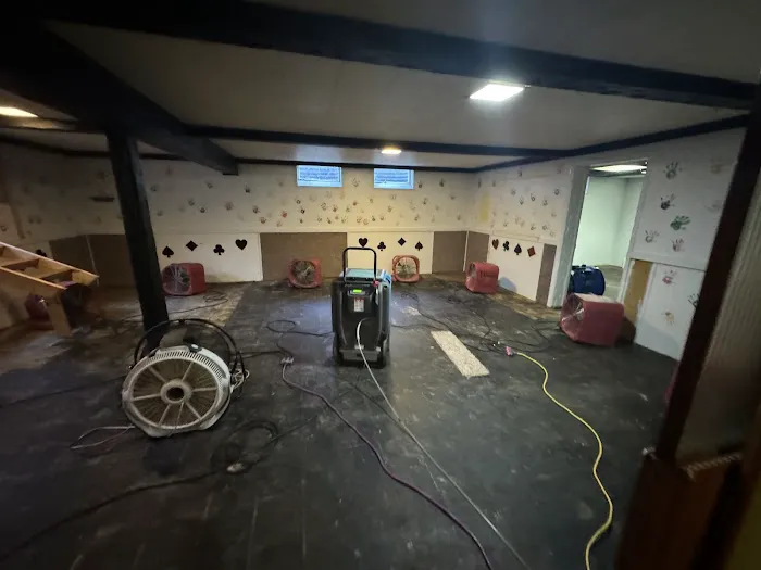 Heaven Scent Cleaning Picture 3