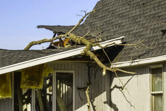 Recovery Solutions Picture 6