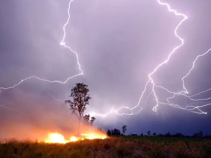 Recovery Solutions Picture 9