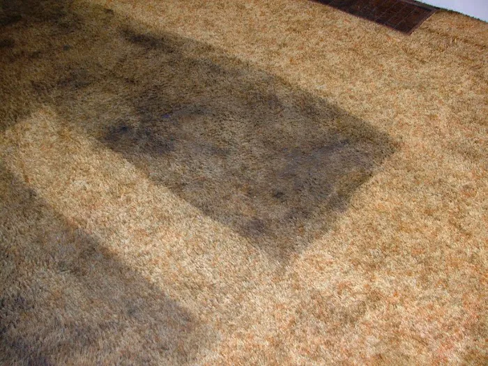 Terry's Cleaning & Restoration Picture 8