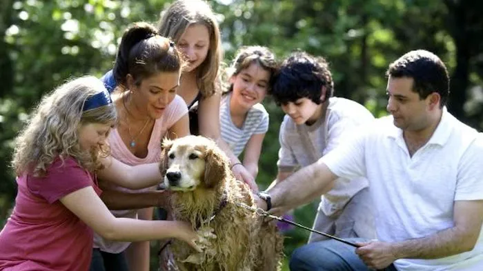 Rainbow Restoration of Northern Cook and Lake County Picture 2