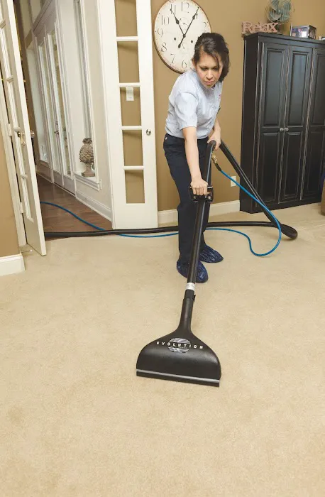 Rainbow Restoration of Northern Cook and Lake County Picture 6