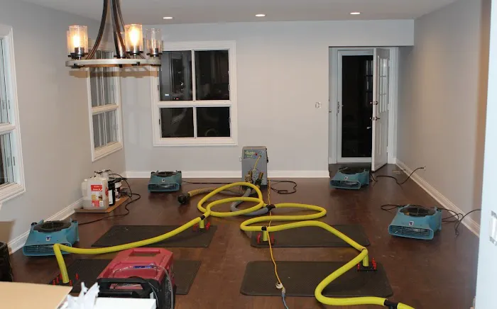 PureDry Water Damage Restoration Picture 7