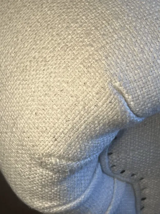 Stanley Steemer Picture 4