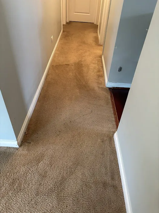 Stanley Steemer Picture 1