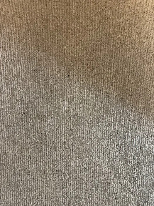 Stanley Steemer Picture 3