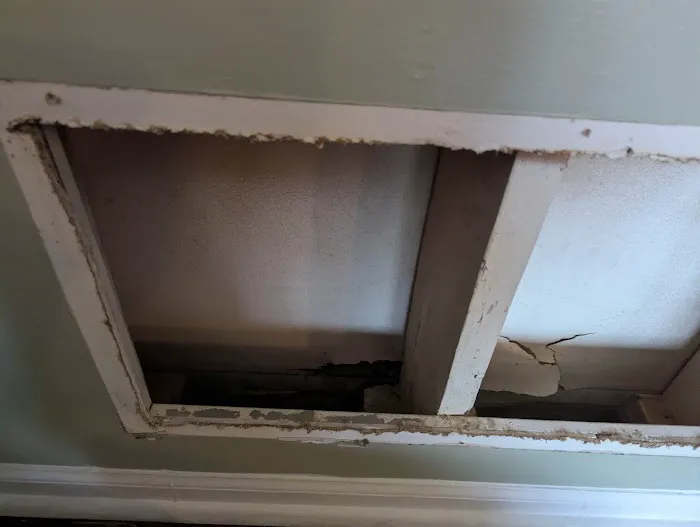 Denali Clean Cleaning & Restoration Services, Inc. Picture 3