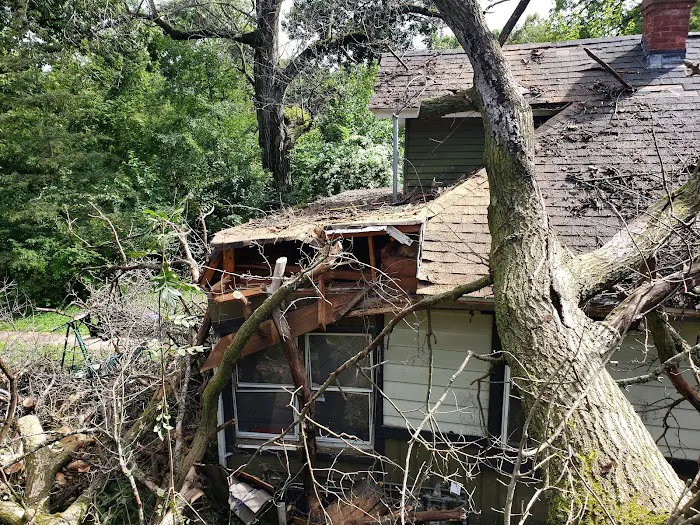 Forever Restoration Services Picture 10