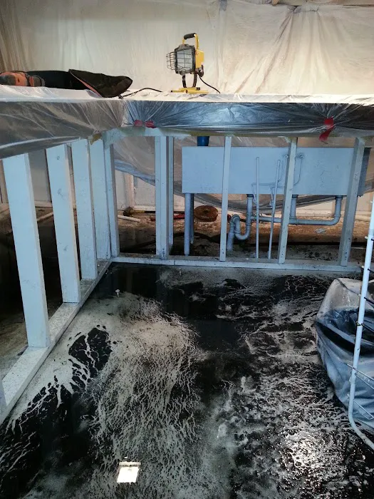 Bella Mold Removal Picture 8