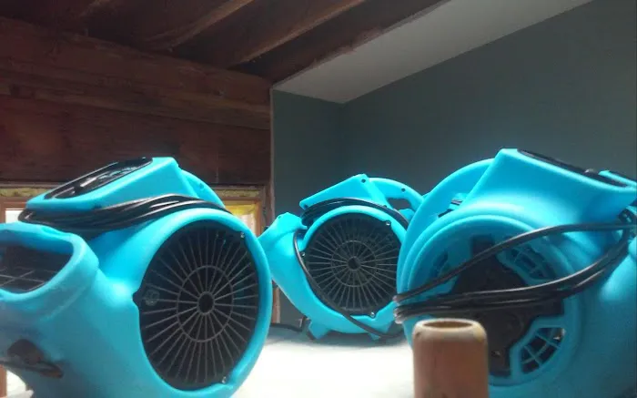 Bella Mold Removal Picture 6